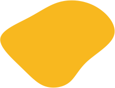 shape-04.png